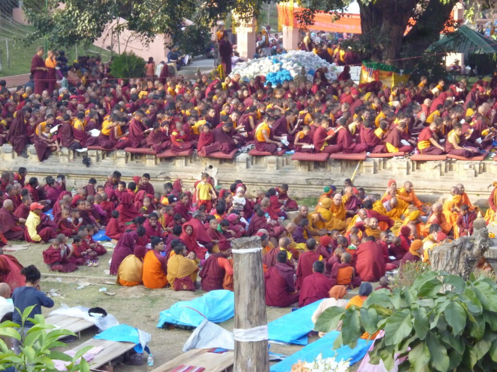 Bodhibaum, Bodhgaya