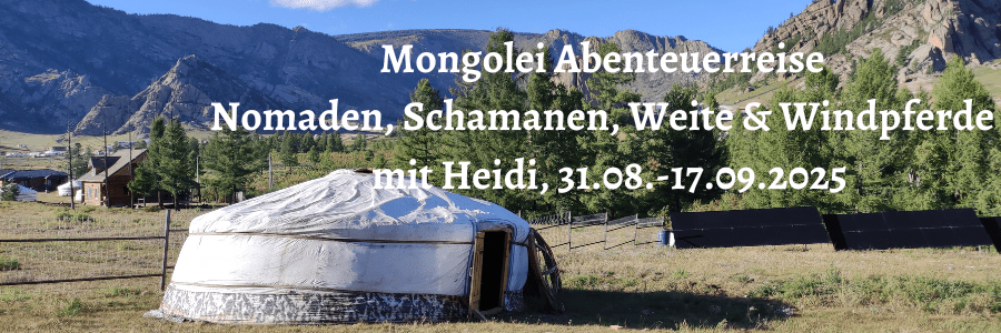 Island Ringroad Roadtrip mit Zelt und Kleinbus rundherum mit Heidi 9. 24.8.2025 2 Indienreise