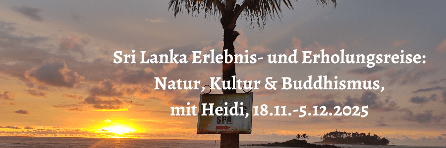 Island Ringroad Roadtrip mit Zelt und Kleinbus rundherum mit Heidi 9. 24.8.2025 3 Indienreise