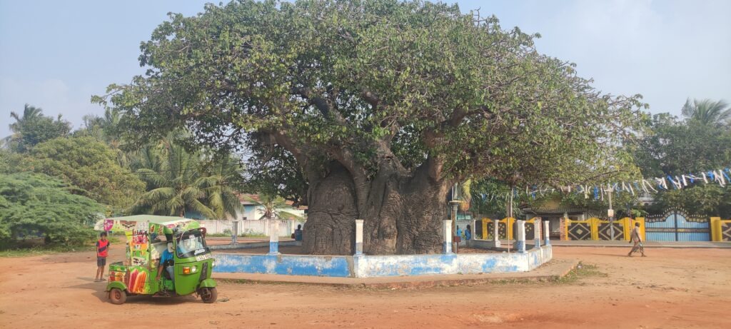 spirituelle reisen 2026