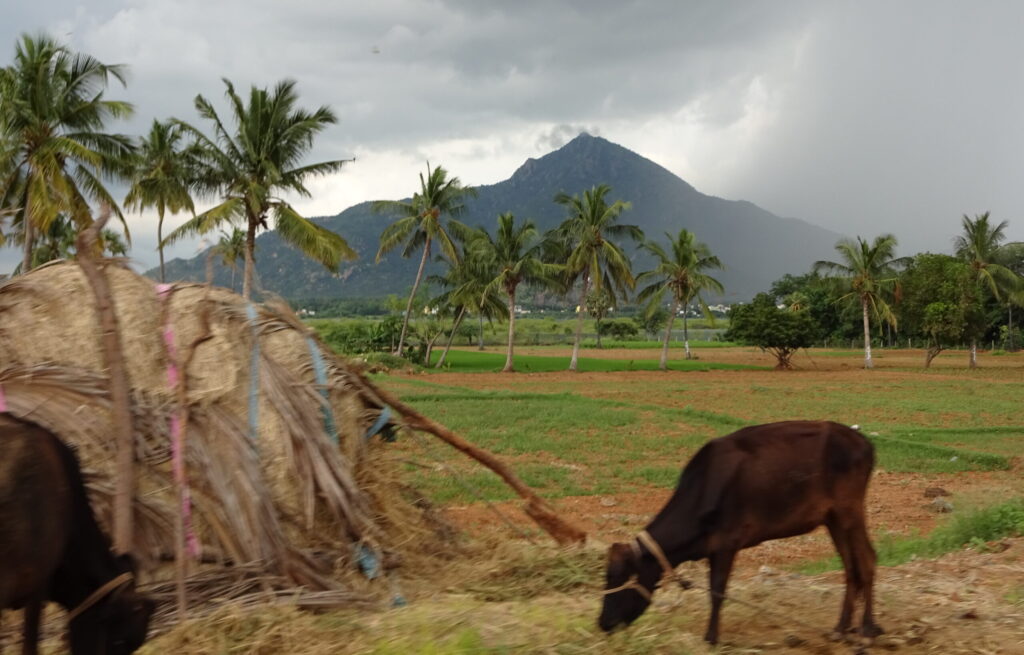 Tiruvannamalai, Tamil Nadu