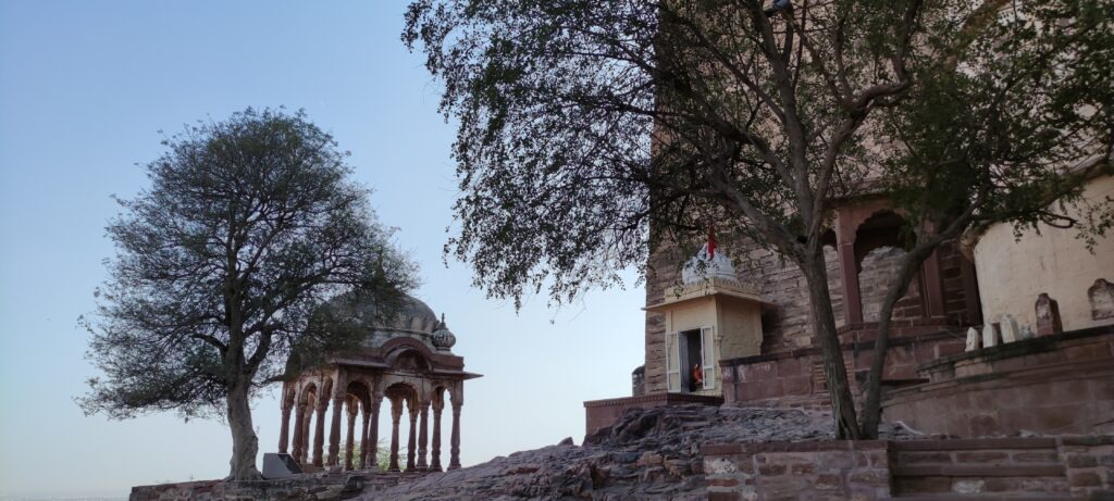 IMG 20211209 141104 rajasthan