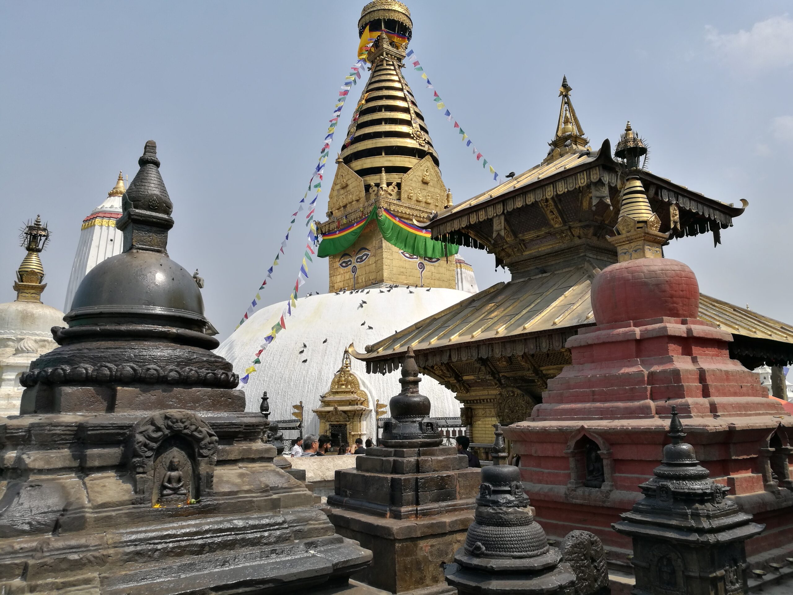 Buddha Pilgerreise